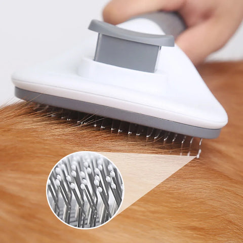 Pet Hair Removal Brush