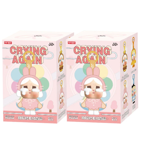 Blind box toy Labubu