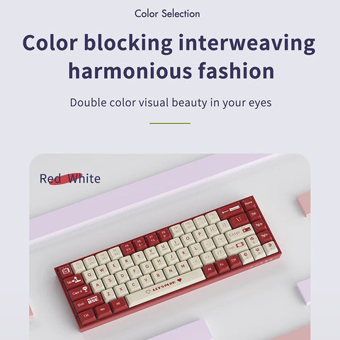 Gaming Mechanical Keyboard